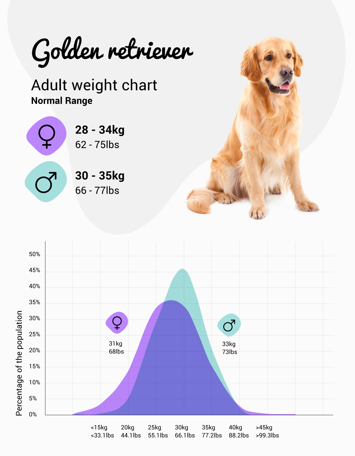 what is the average weight of a golden retriever?