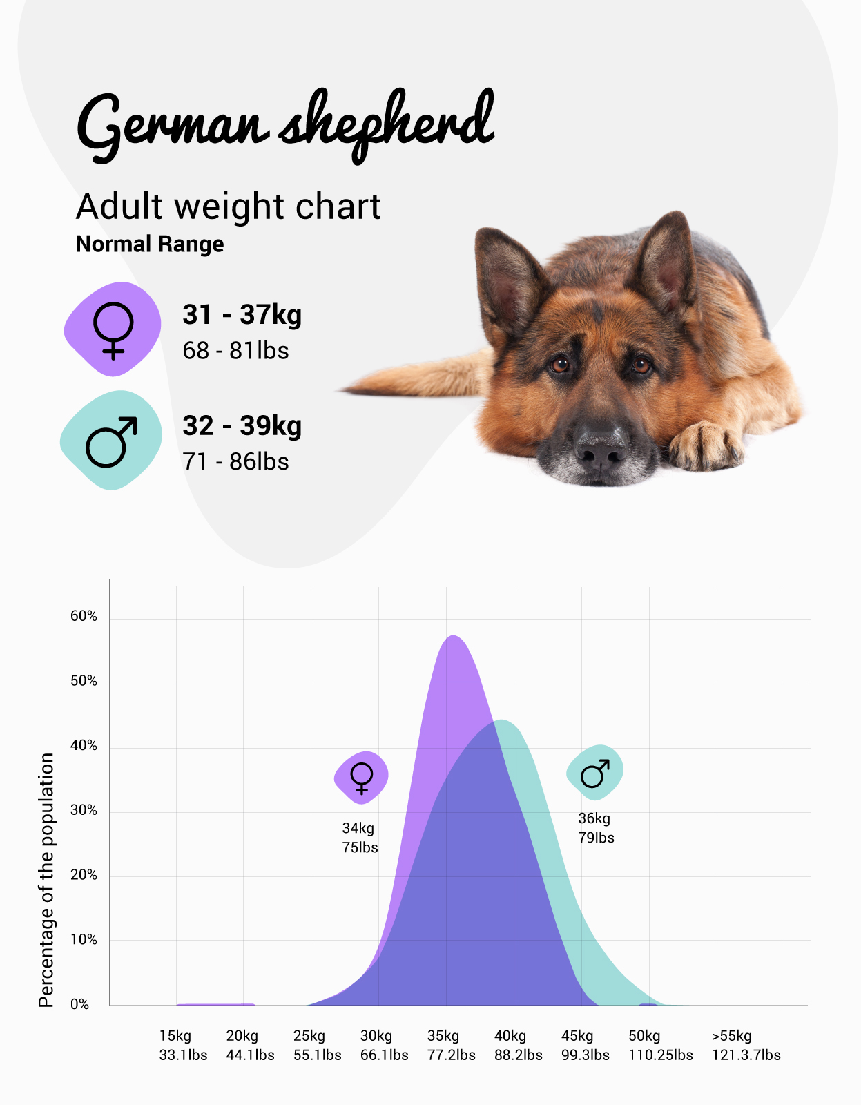 German shepherd age store in dog years