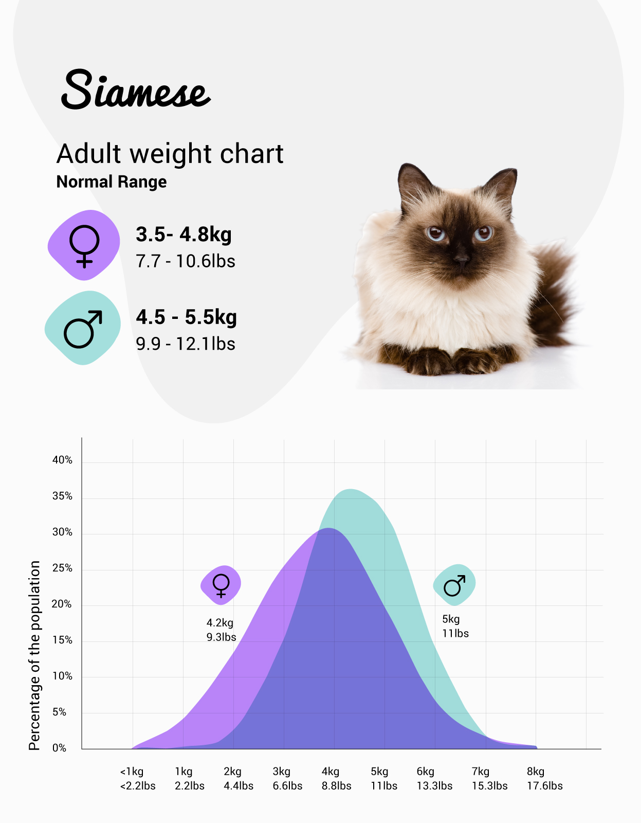 Seamese weight chart